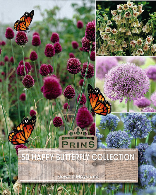 Prins Happy Butterfly Collection 50 Pack Bulbs