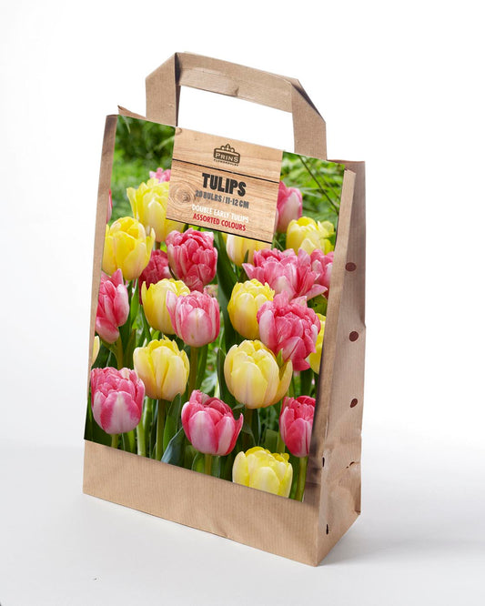 Prins Tulips Double Early Assorted Colours Giftbag 20 Pack Bulbs