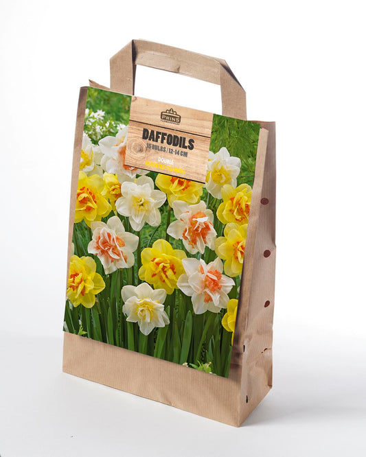 Prins Daffodils Double Assorted Colours Giftbag 15 Pack Bulbs