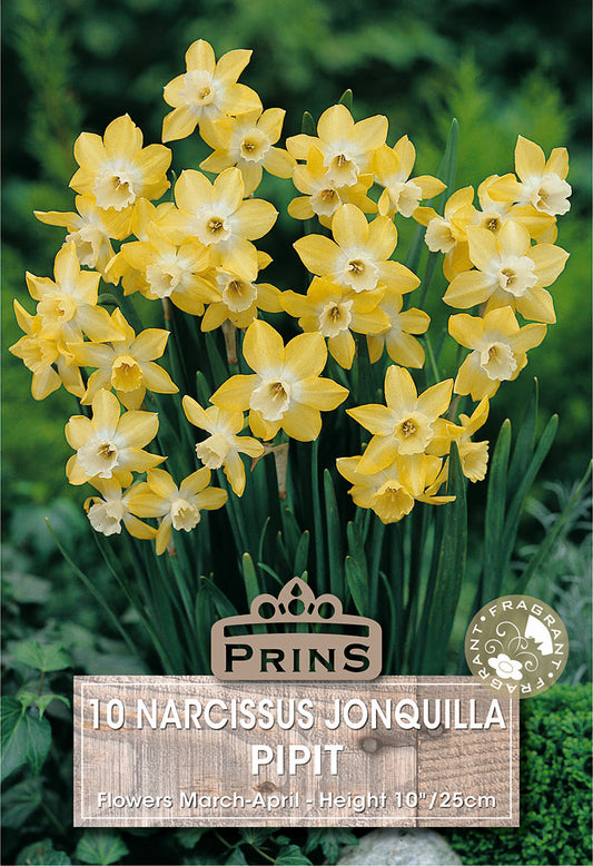 Bouquet of yellow daffodils with 'Prins' branding and product information.