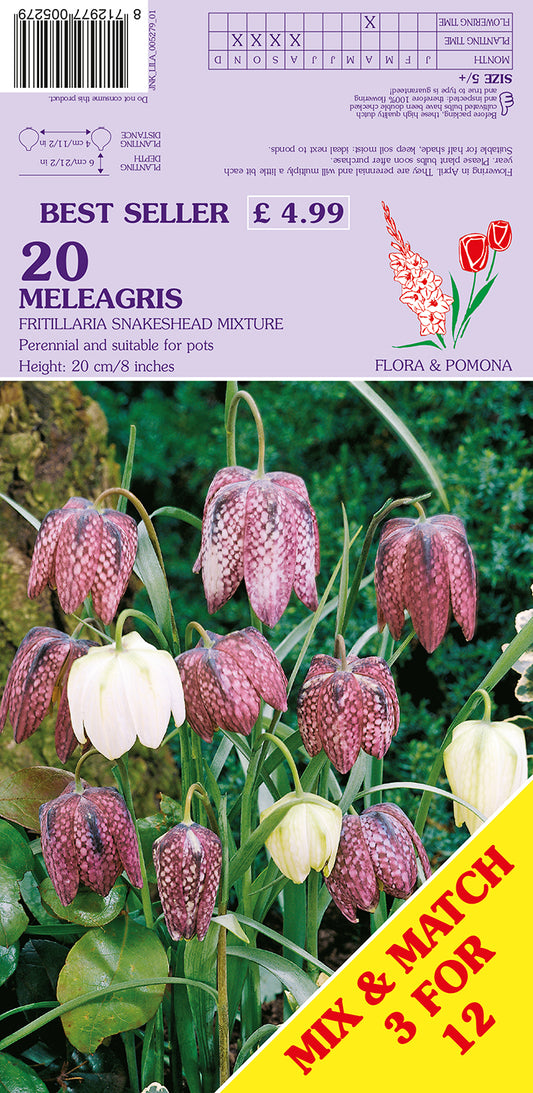 Meleagris Fritillaria Snakeshead Mixture 20 Pack Bulbs