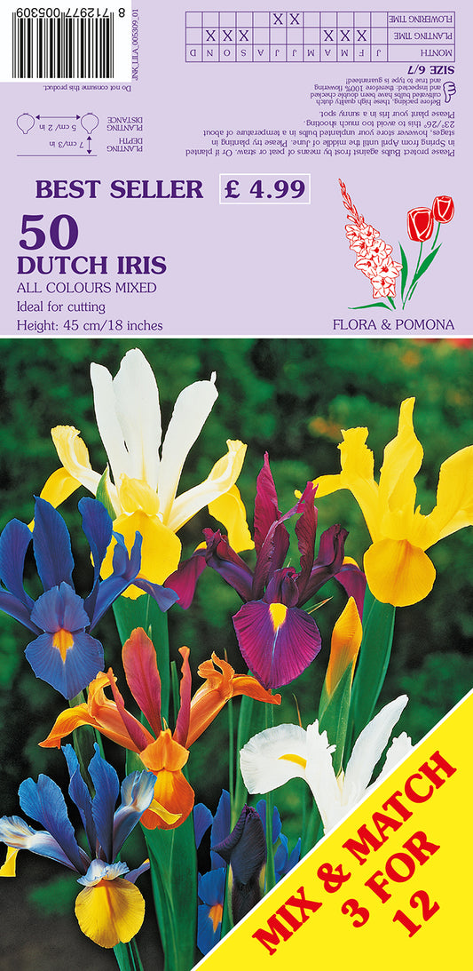 Dutch Iris All Colours Mixed 50 Pack Bulbs