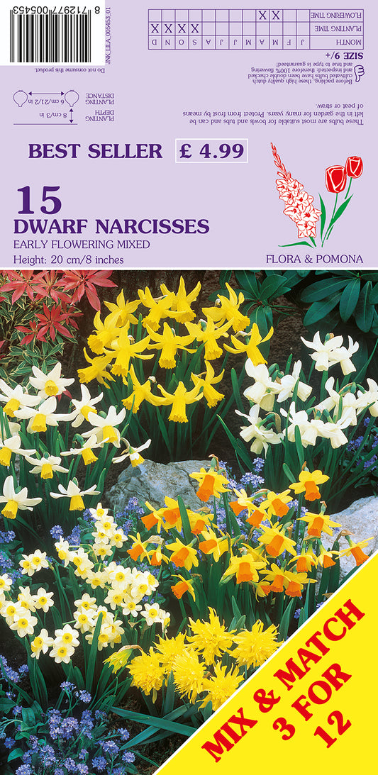 Dwarf Narcissus Early Flowering Mixed 15 Pack Bulbs