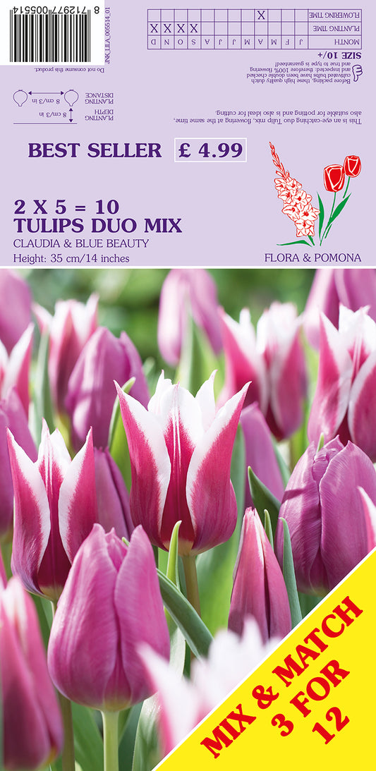 Tulips Duo Mix Claudia & Blue Beauty 10 Pack Bulbs