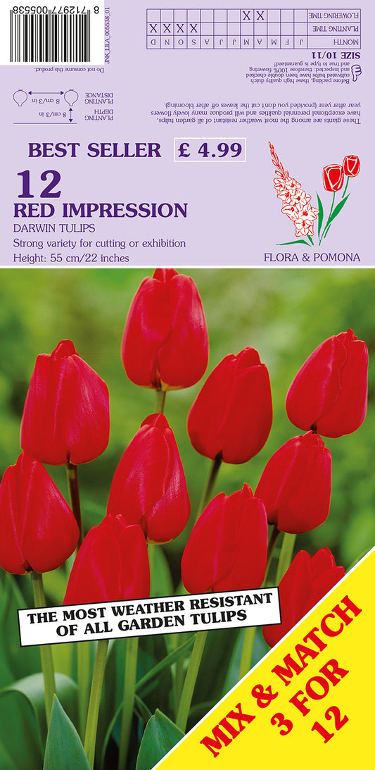Red Impression Darwin Tulips 12 Pack Bulbs
