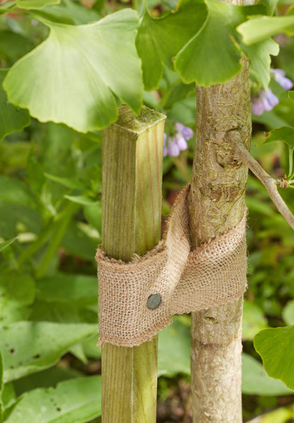 Two wooden stakes tied together with burlap against a green leafy background