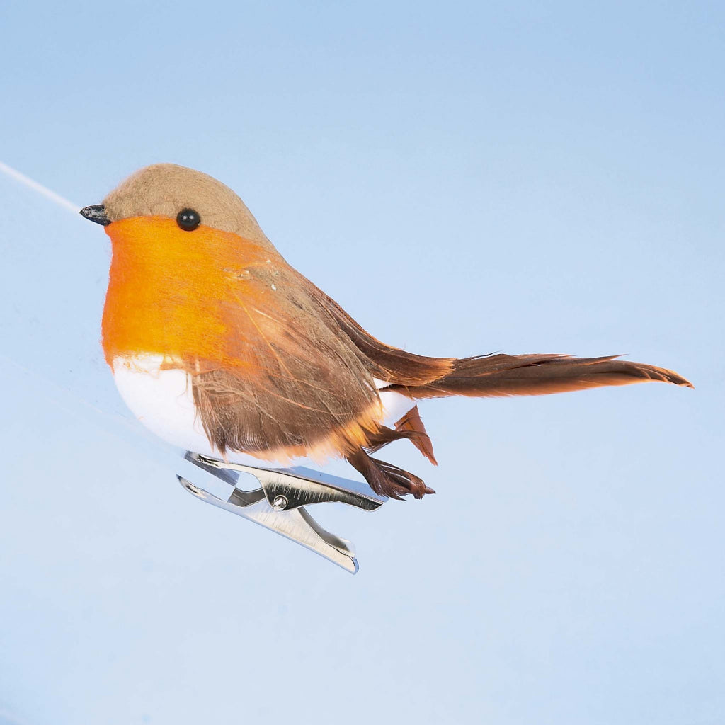 Robin bird perched on a metal clip against a light blue background