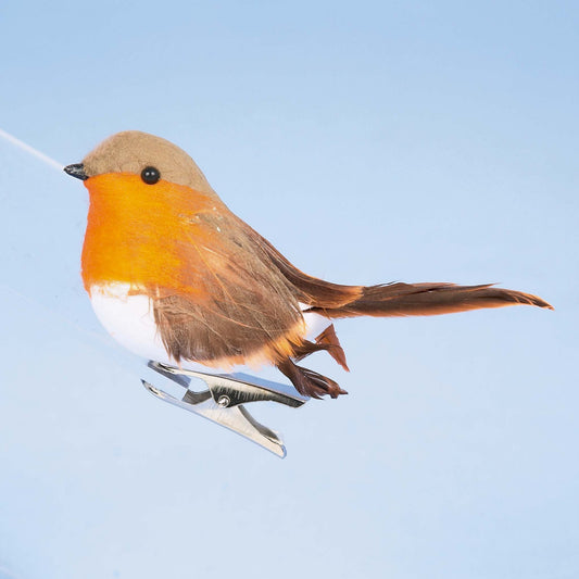 Robin bird perched on a metal clip against a light blue background