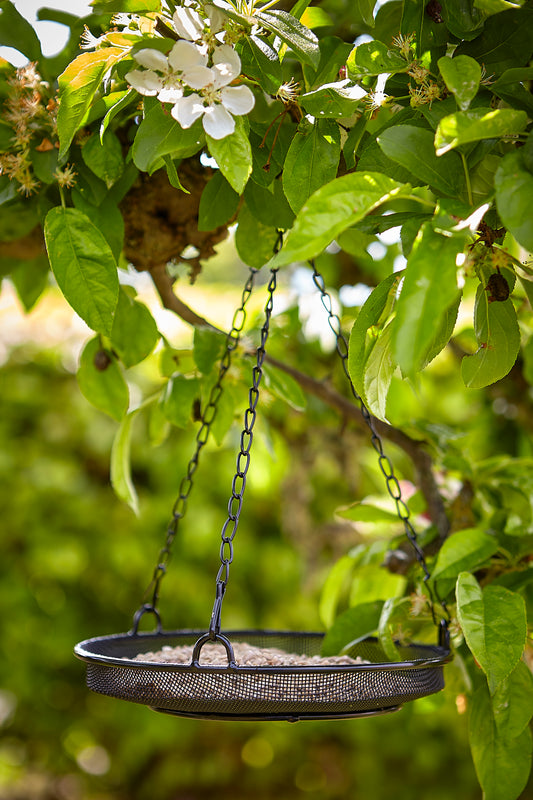 Hanging bird bath with flowers and leaves in the background