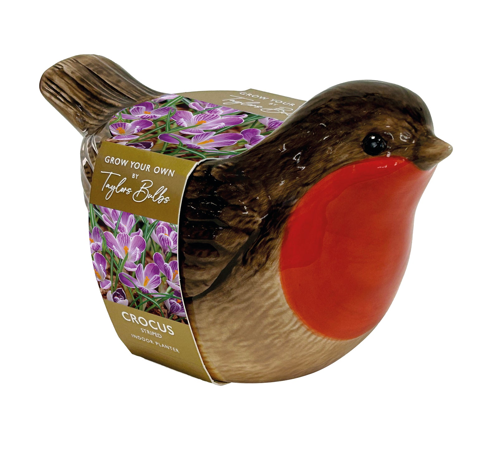 A ceramic robin bird planter holding a pot of Taylor's Bells crocus bulbs, with a paper label wrapped around the body showing purple flowers and the text 'Grow Your Own Taylor's Bells CROCUS SELF-SEEDING PLANTER'.