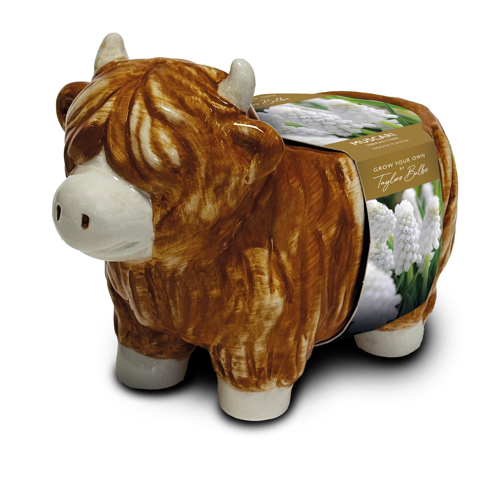 A ceramic highland cow figurine with a brown and white textured coat, white horns, and white hooves, featuring a printed paper band around its back with a white flower illustration and the text 'GROW YOUR OWN Taylor Bellies'.