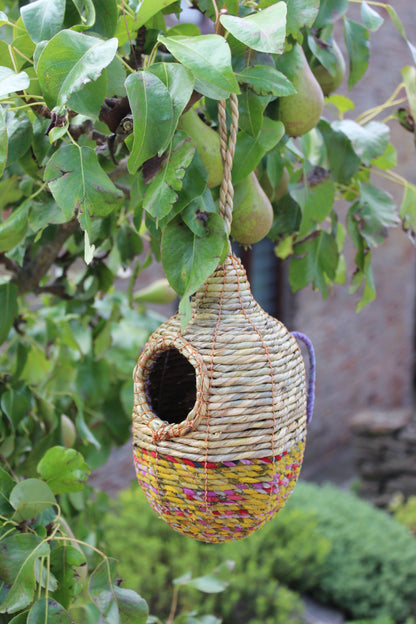 Woven birdhouse with colorful top hanging on a tree branch
