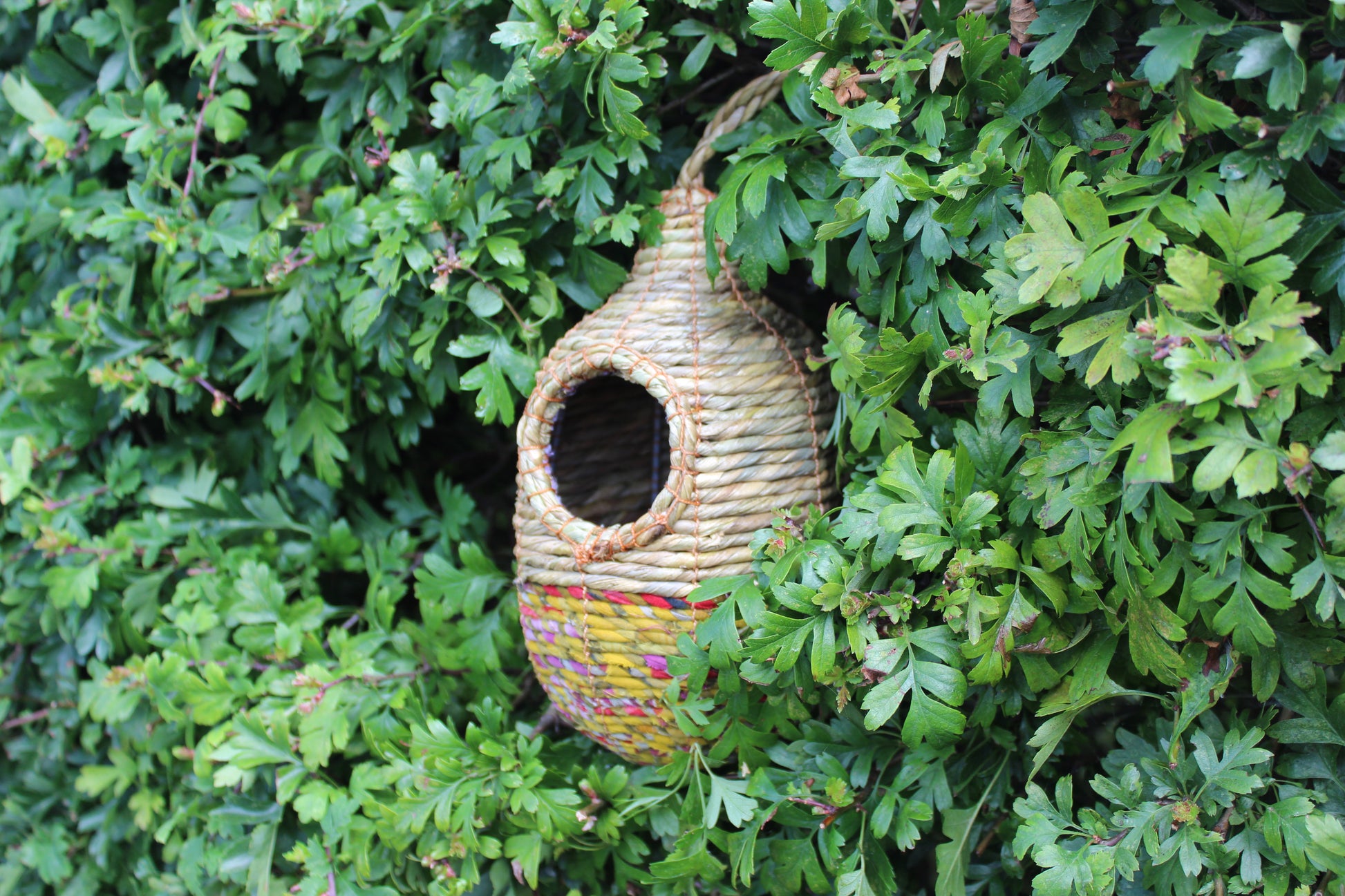 Woven birdhouse hanging among green leaves