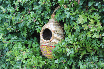 Woven birdhouse hanging among green leaves