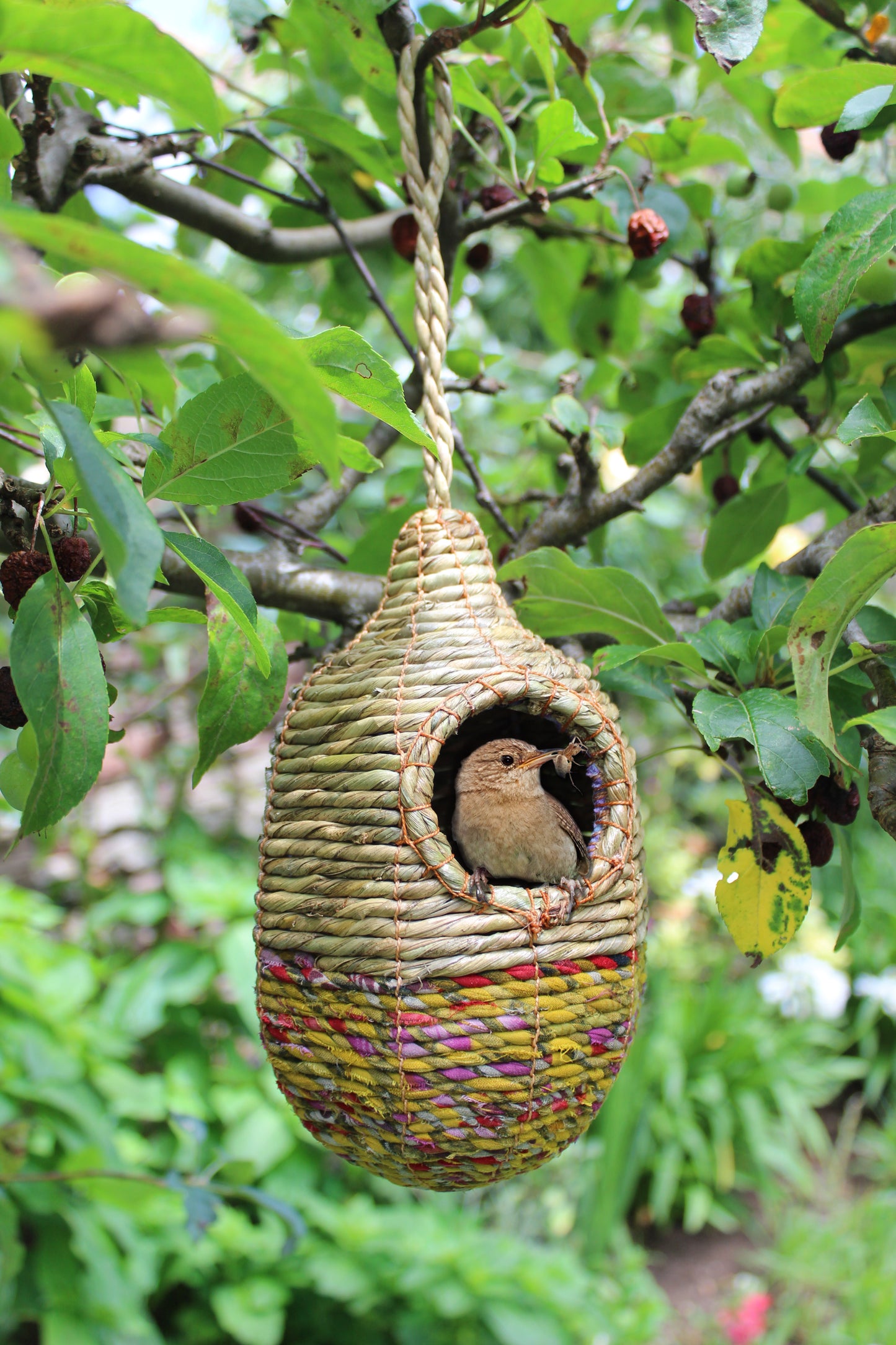 Woven birdhouse hanging in a tree with a bird inside