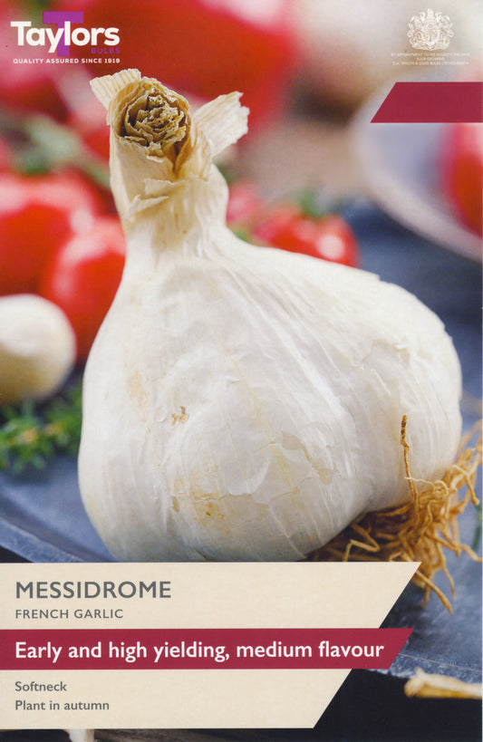 Garlic bulb with tomatoes on a blue surface, featuring Taylors logo.