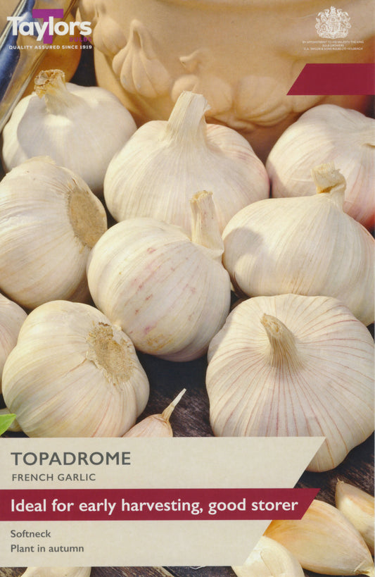 Garlic bulbs with Taylor's brand label on a dark background