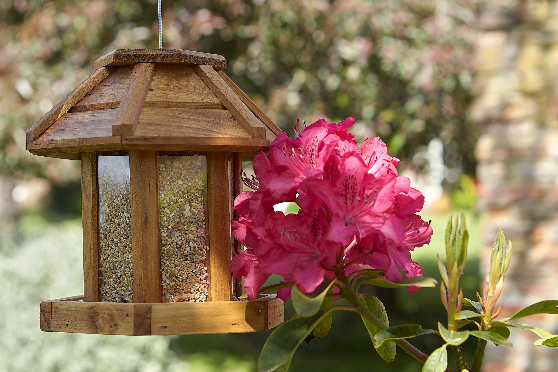Wooden bird feeder with seeds hanging next to pink flowers in a garden setting