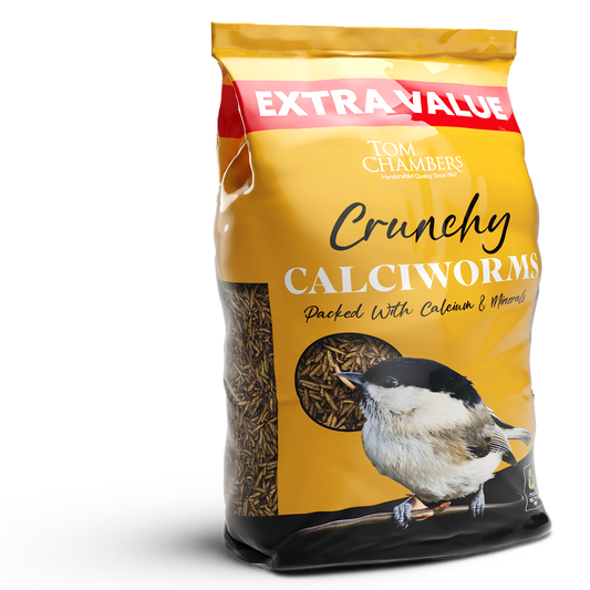 Bag of Tom Chambers Crunchy Calciworms bird food with a bird illustration on a white background
