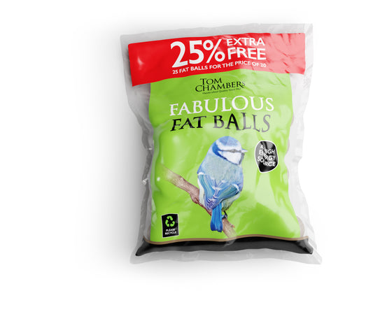 Pack of Tom Chambers Fabulous Fat Balls with a bird illustration on a white background
