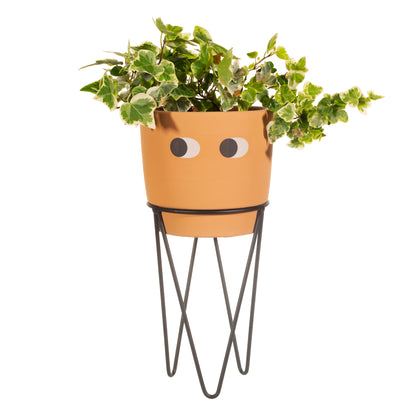 Orange planter with eyes, on a black wire stand, with green leaves, on a white background