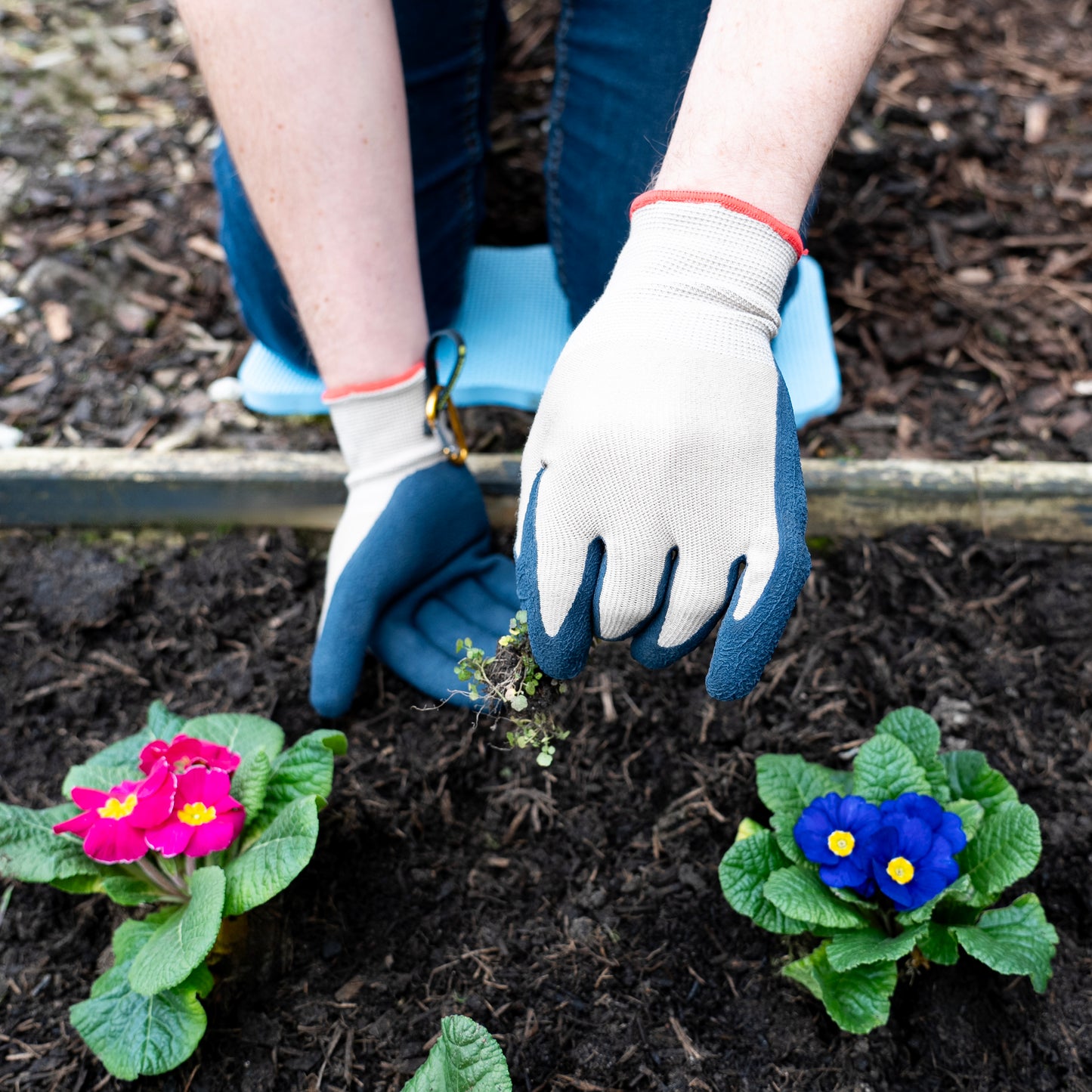 Person planting flowers in a garden with gardening gloves on