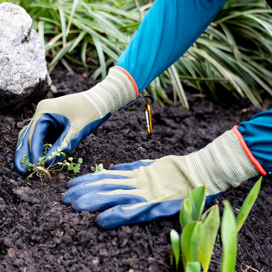 Gloves on soil