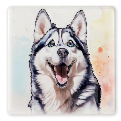 Coaster with a watercolor illustration of a husky dog on a white background