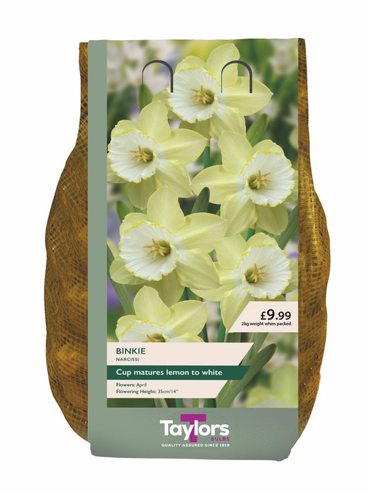 A bag of Taylors Binkie Narcissus seeds, featuring a label with yellow and white daffodils on a green background, flanked by brown textured side panels, on a white background.