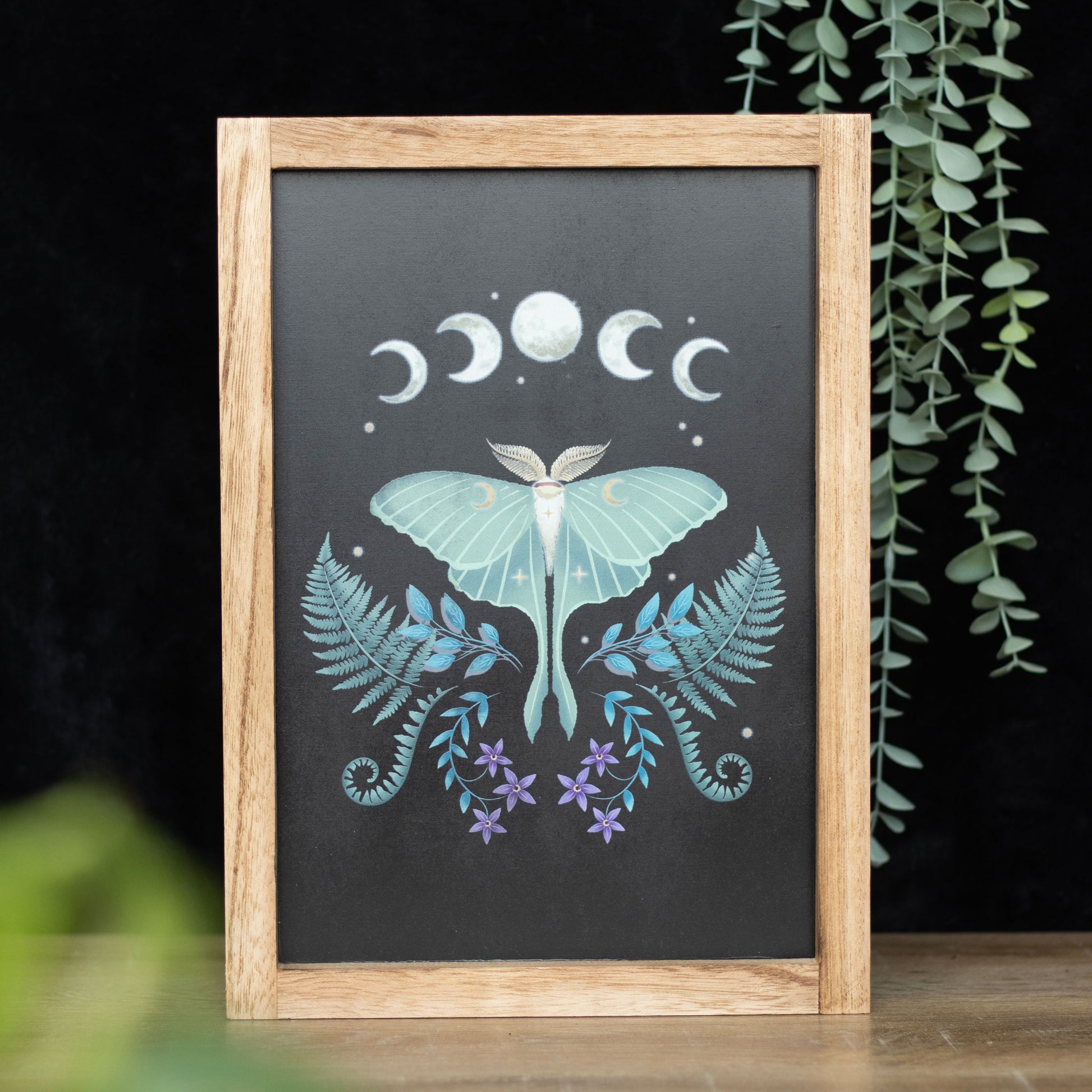 Framed artwork with a butterfly and moon phases design on a dark background