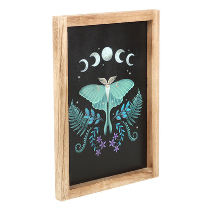 Decorative wall art with a butterfly, moon phases, and plants on a black background in a wooden frame.
