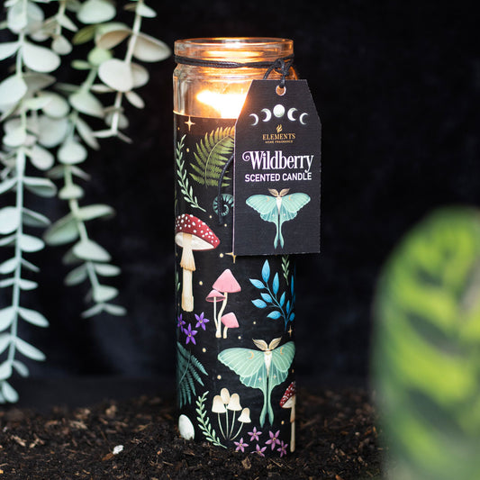 Candle in a decorative jar with a label, surrounded by plants on a dark background