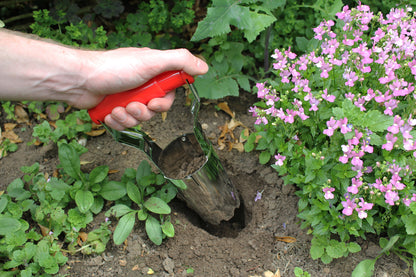 Hand using a small shovel to dig in the garden with pink flowers and green plants in the background.