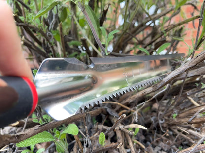 Metal tool with a serrated edge held over dry grass and leaves
