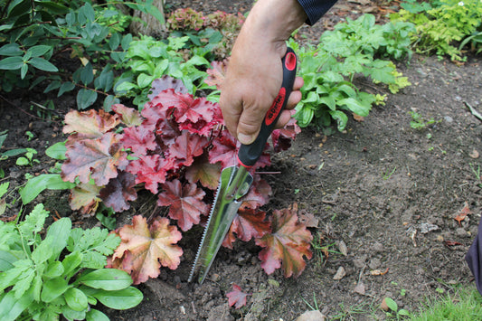 Hand using garden shears to trim a plant in a garden setting