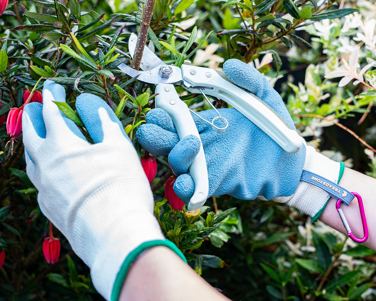 Person pruning a plant with gardening shears and gloves in a garden setting