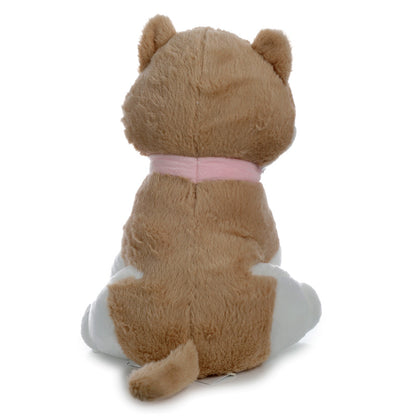 Brown teddy bear with a pink bow on a white background