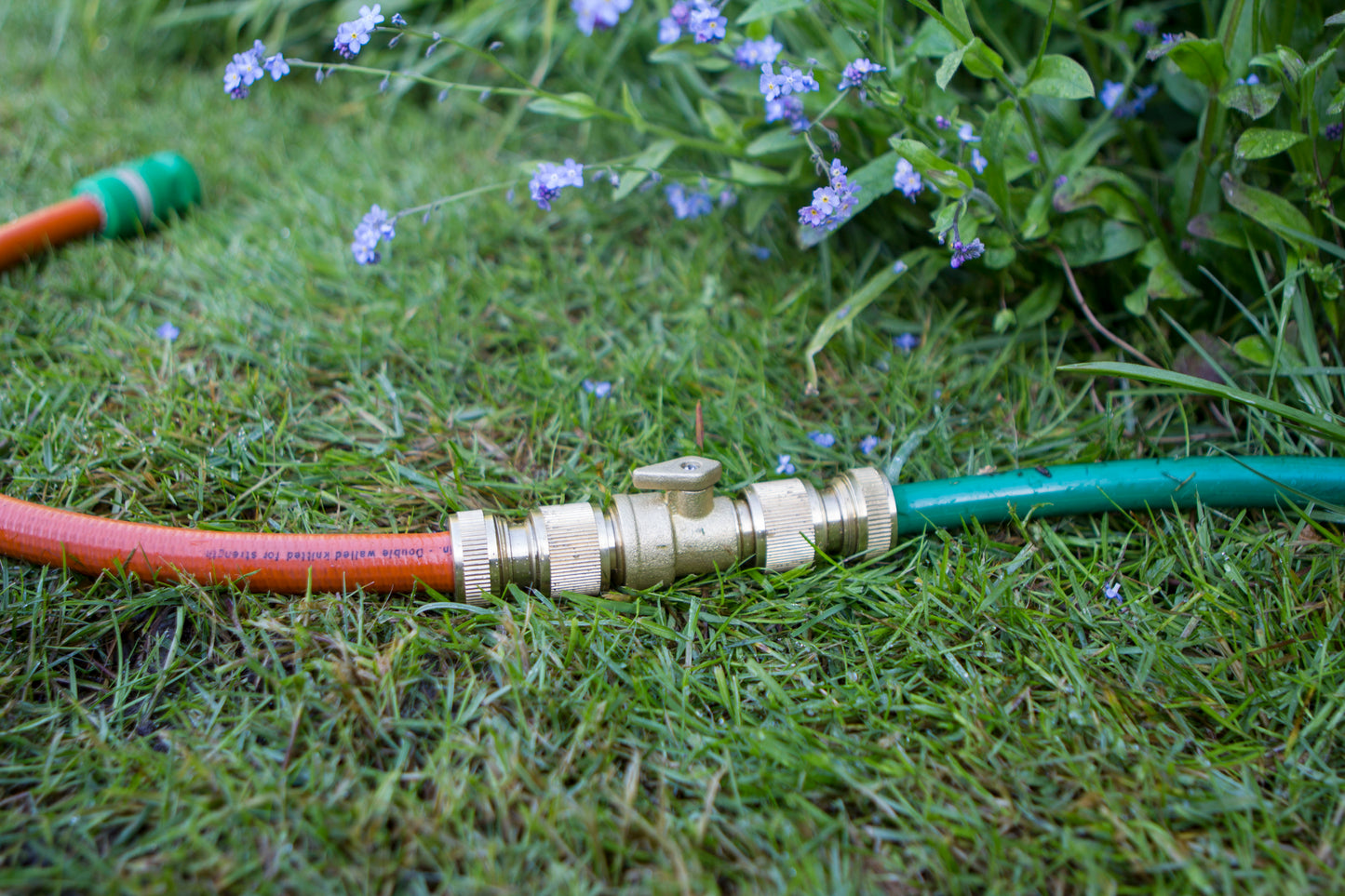 Garden hose with brass connectors on grass with flowers in the background
