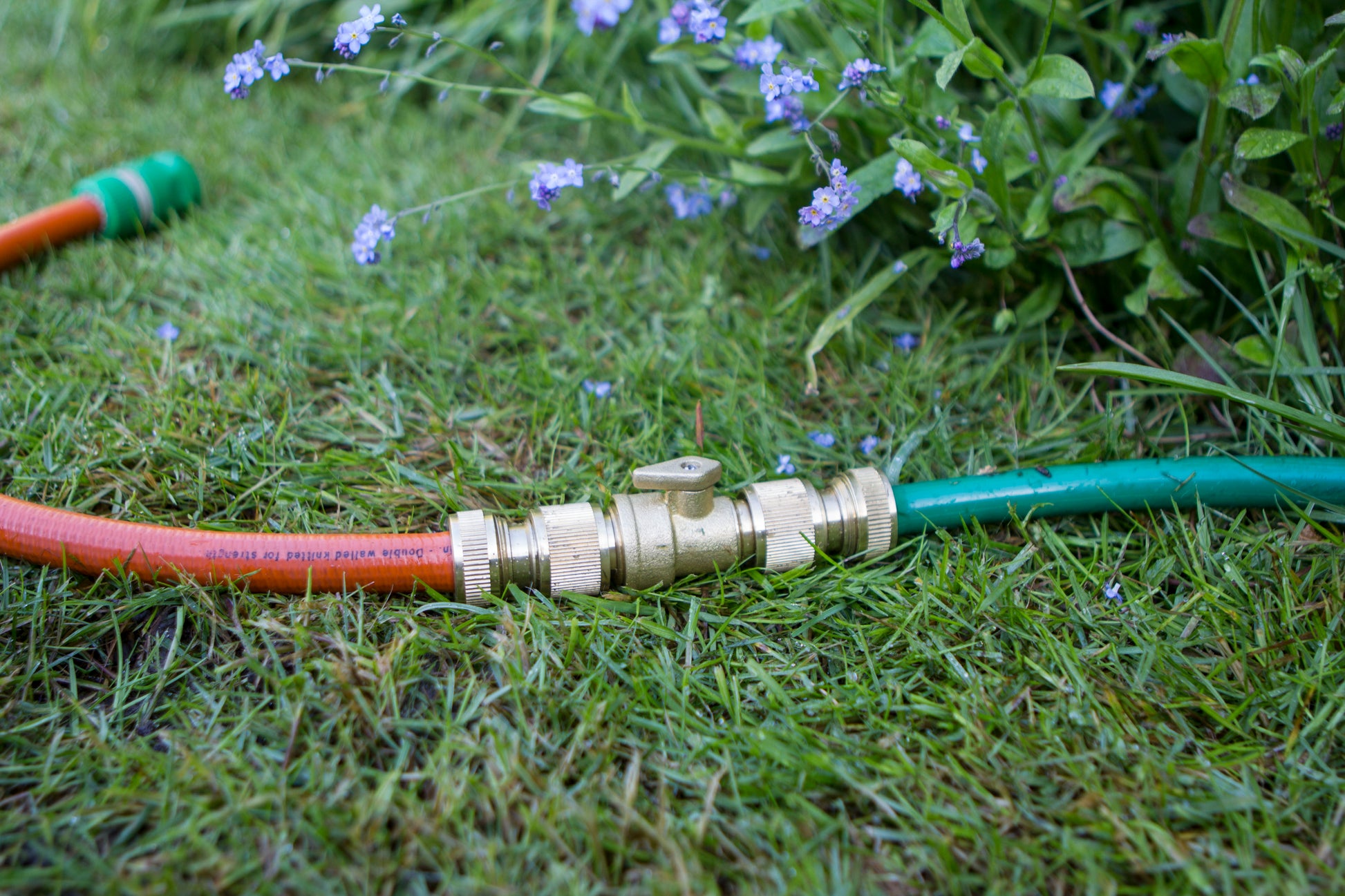Garden hose with brass connectors on grass with flowers in the background