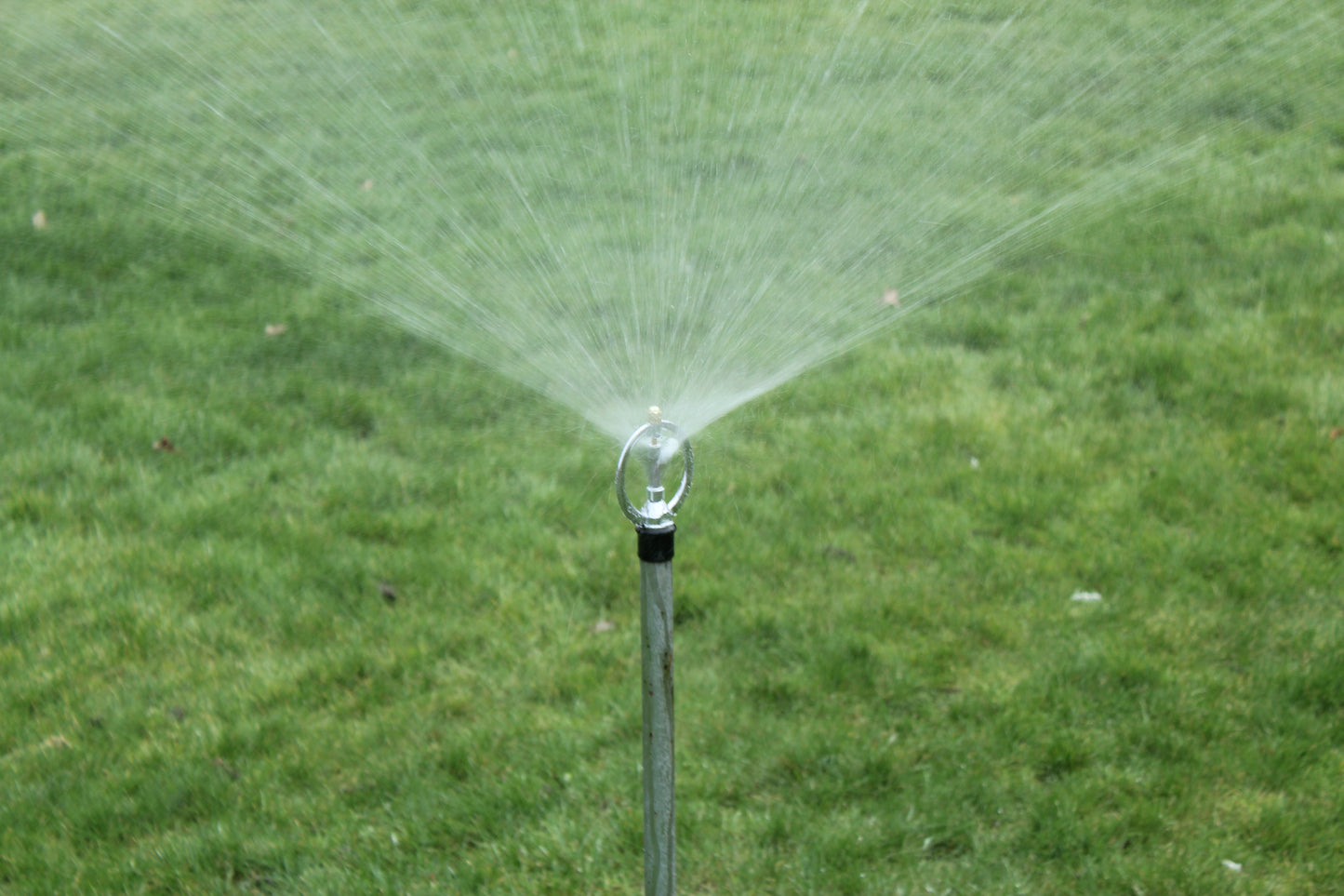 Darlac DW316 Water Spinner Head