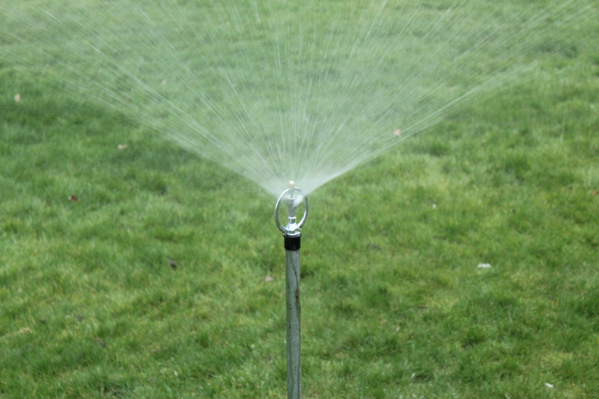 Darlac DW316 Water Spinner Head