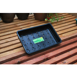 Black plastic tray on a wooden surface with small plants in the background