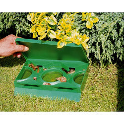 Green plastic slug and snail beer trap set in garden lawn | Non-toxic pest control bait station | UK gardening accessories
