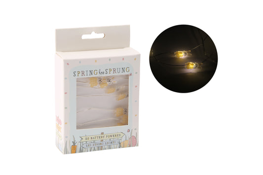 Packaged string lights with a close-up of the lights on a white background