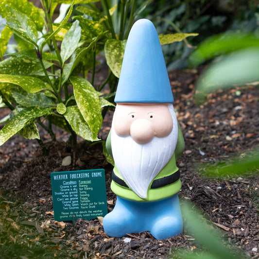 Garden gnome with blue hat and green outfit standing in a garden setting.