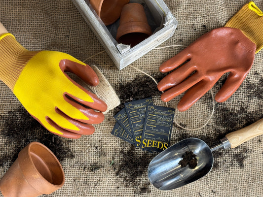Gardening tools and seed packets on a textured surface with hands wearing gloves.