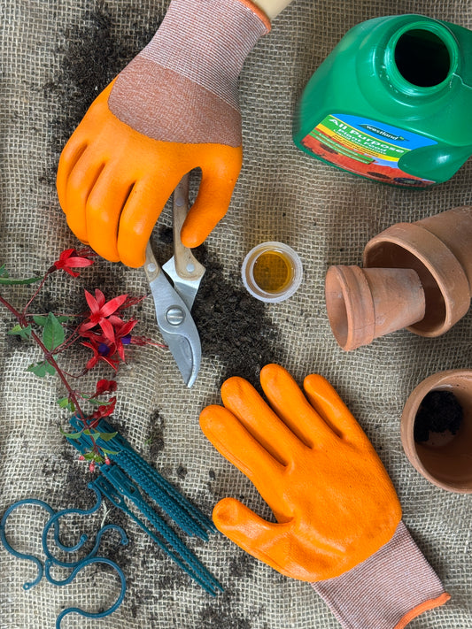 Gardening tools and gloves on a textured surface with plants and soil.