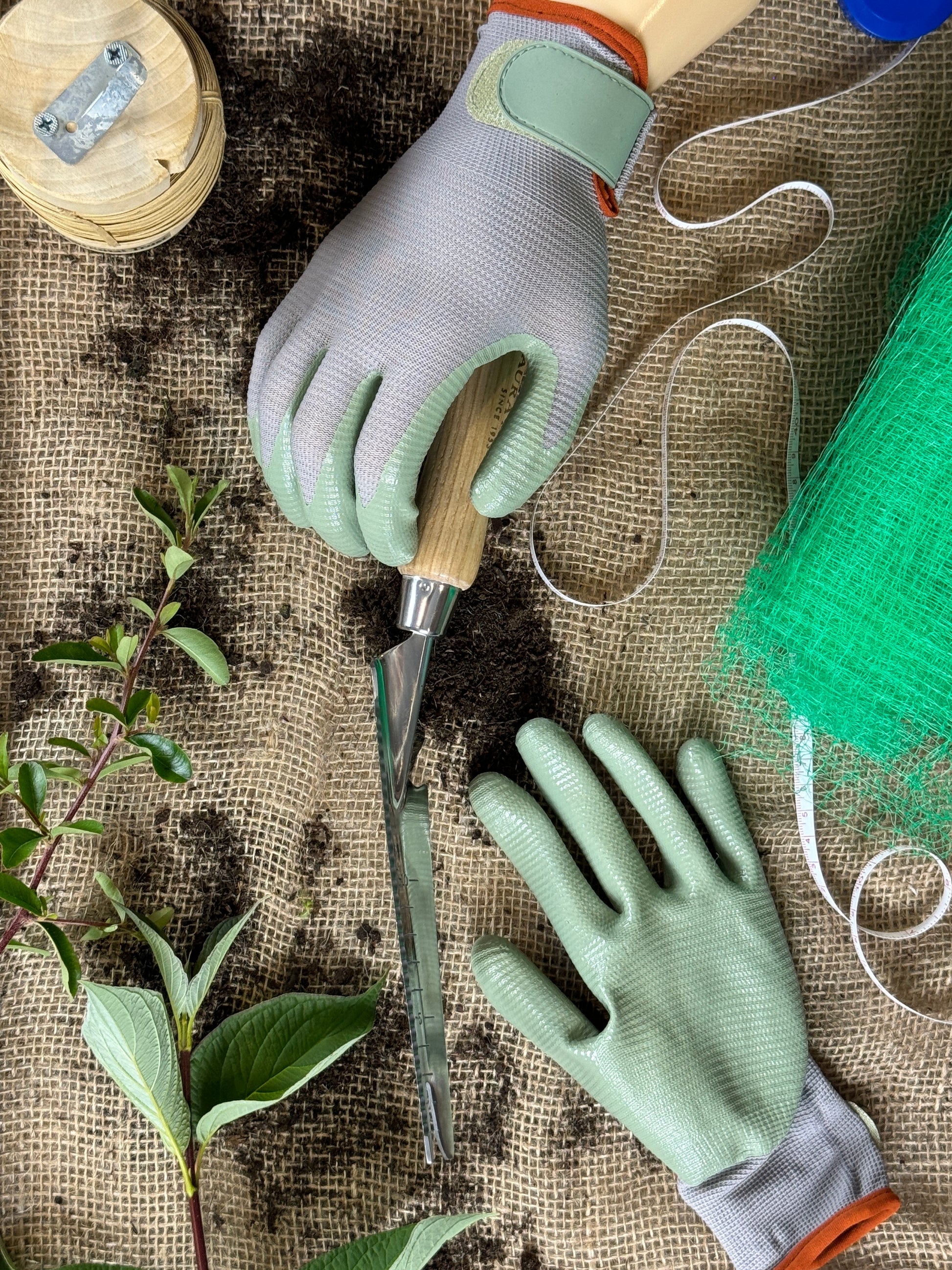 Gardening tools and gloves on a textured surface with plants.
