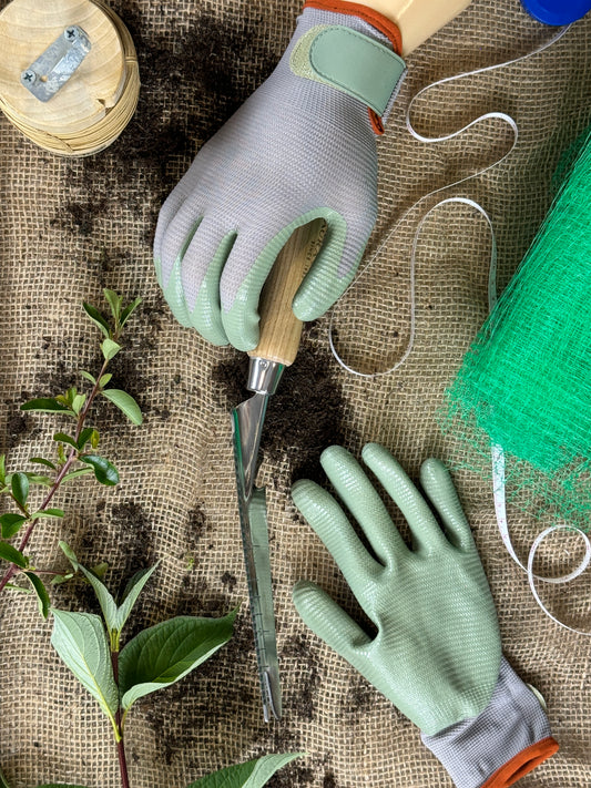 Gardening tools and gloves on a textured surface with plants.
