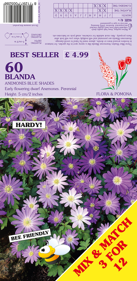 Flora & Pomona 60 Blanda hardy anemone blue-shade seed packet showing a purple and lavender flowering plant photo, product text, barcode, bee icon, and yellow 'Mix & Match 3 for 12' banner.